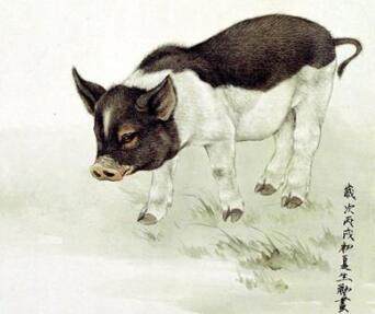 热点剖析:三径清风似水流打一动物