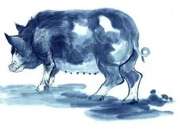 视角拆解:牵牛南渡象昭回，欲钱孤独的动物代表什么生肖