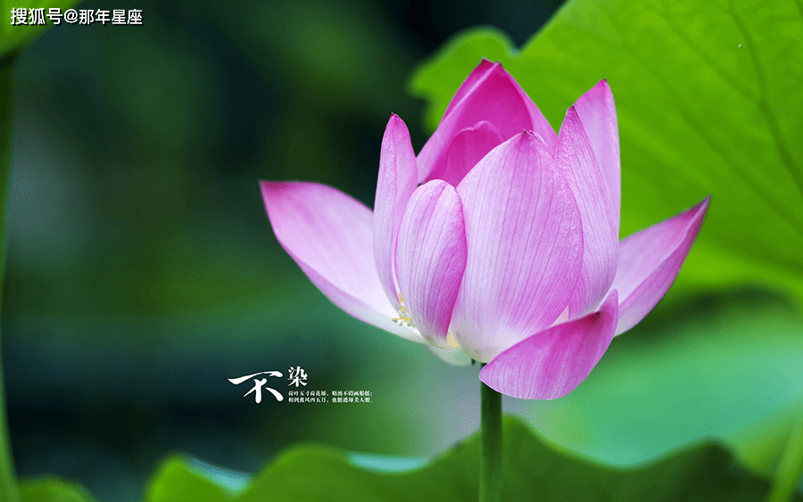 图文解析:风调雨顺指什么生肖