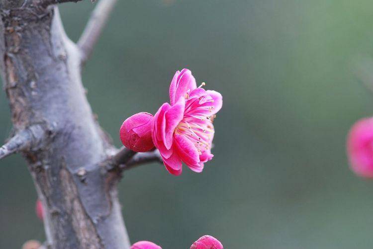 独家专访:蕙质兰心指什么生肖