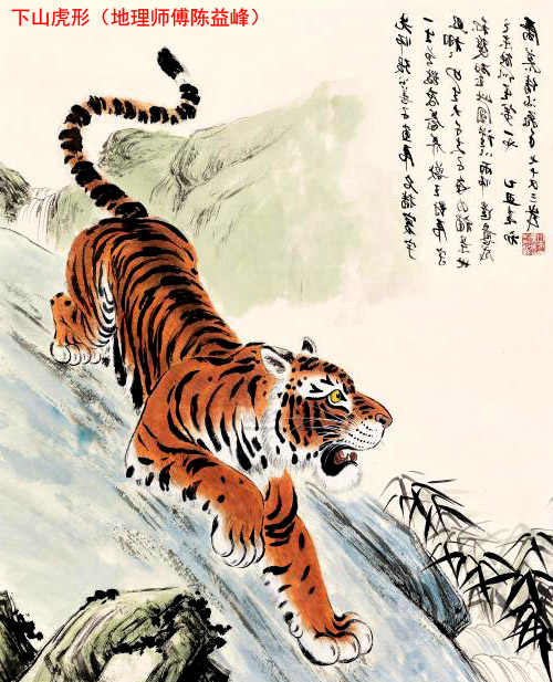 内幕披露:高卧东山代表什么动物