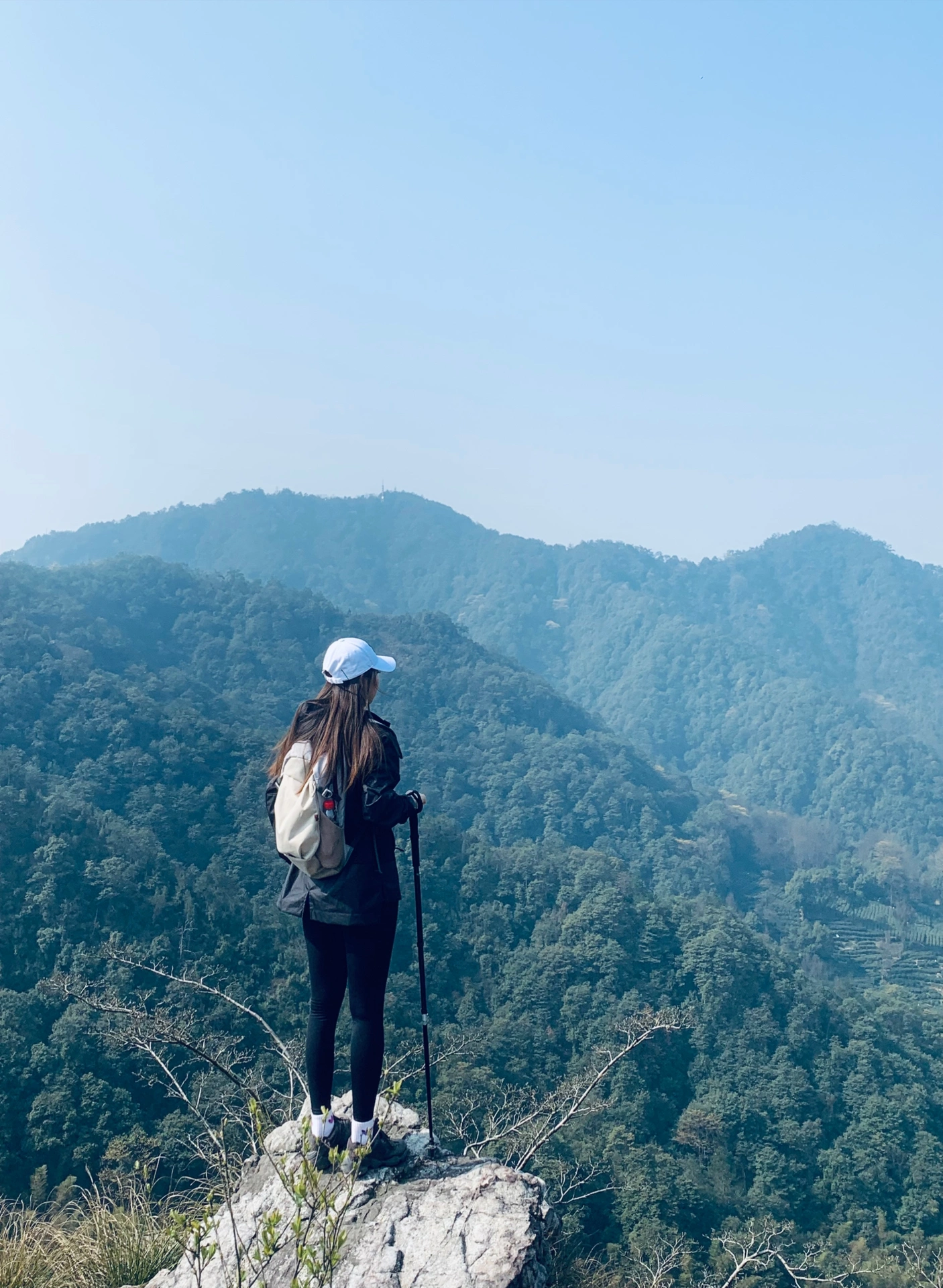 独家新闻（一山也可）正确答案动物