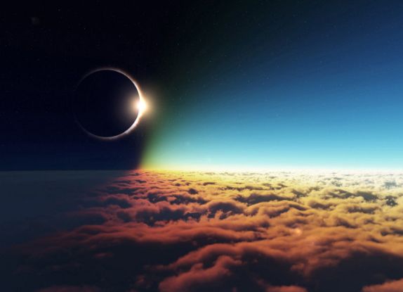 图文解析:买猴输尽光，三两点鸥沙外月。代表什么动物