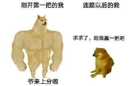 条理讲解:鸡飞狗跳猜指打个最佳精准代表哪一个生肖