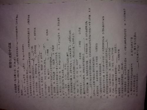 深度剖析（残窗夜月人何处）最佳答案