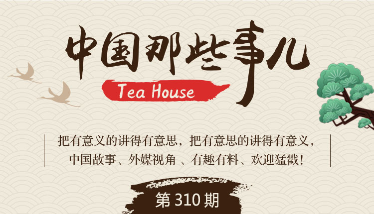 独家解读（一六是八要看清，二七相伴同台走）打一最佳动物