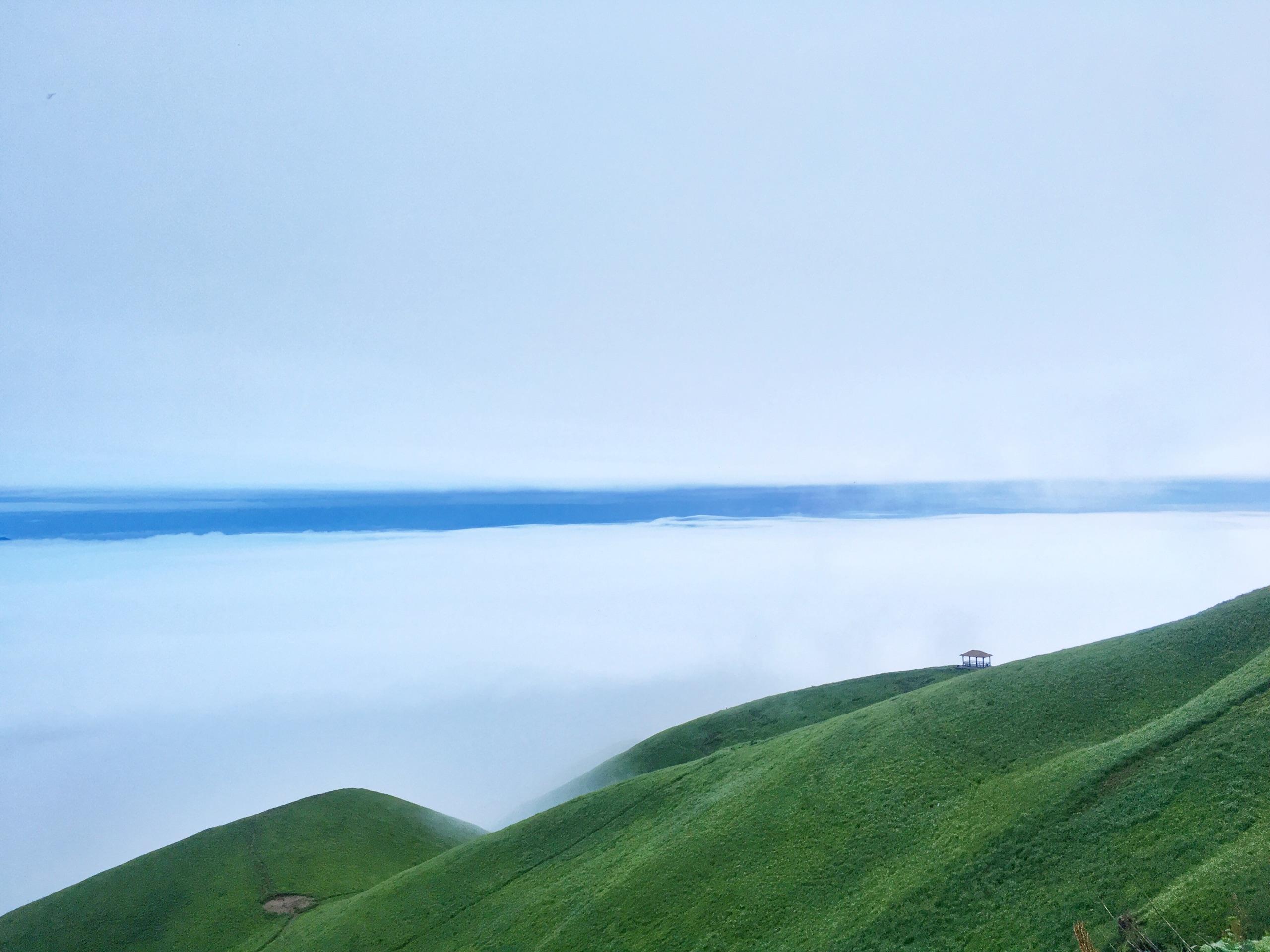 实战解析（一山也可）猜本期数字