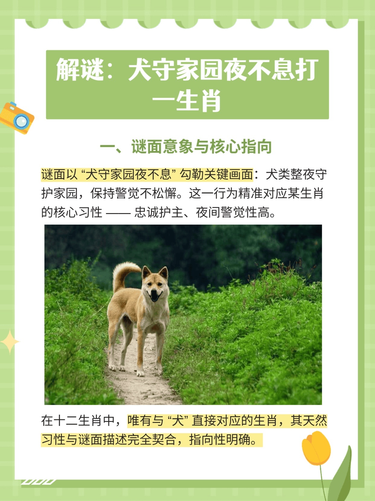 行家点评:春风化雨润绿草，犬守家园夜不息打一动物