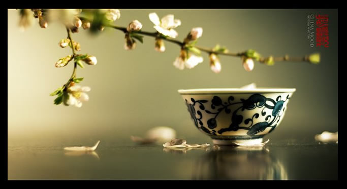 业内点评（今期蛇牛猪出特，头上花枝照酒卮）最正确生肖