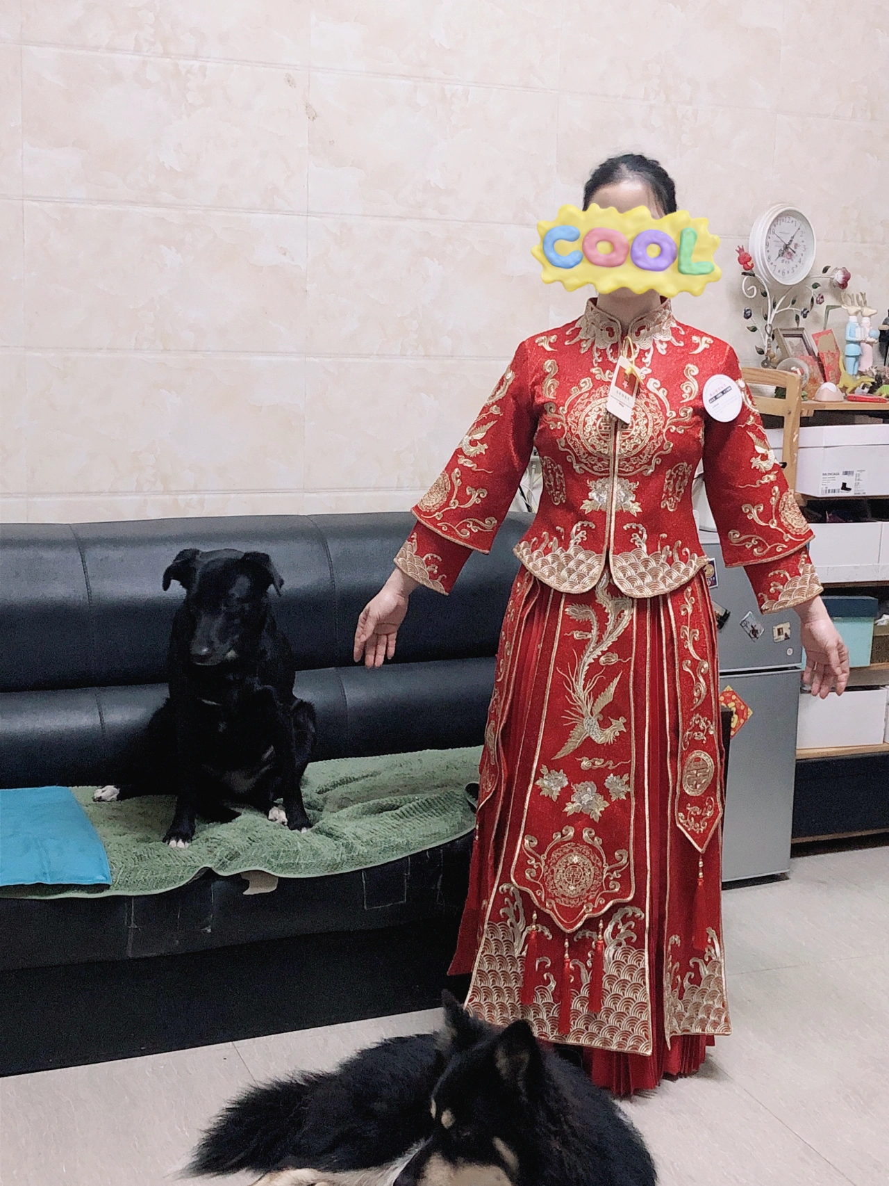 条理讲解:披褂上阵打一动物谜底