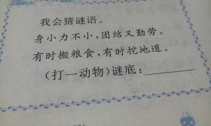 观点输出（一本正经羊解药，欲钱马虎的动物）打一动物谜底