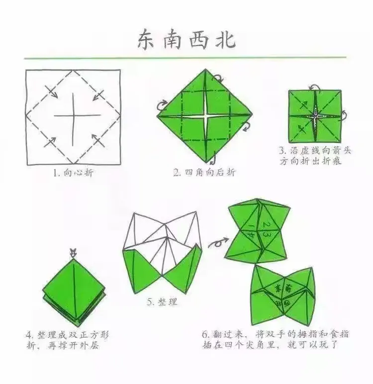 内幕披露（东南西北）打一动物谜底