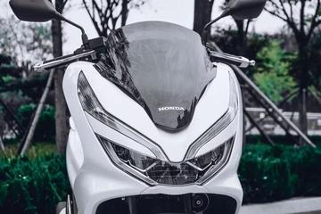 图文解析（小猴戏耍龙天宫，一南十北跑码头）本期动物