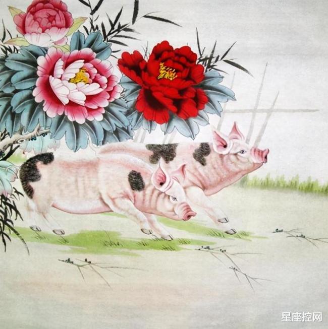 首发资讯:风调雨顺巧解一最佳最佳生肖