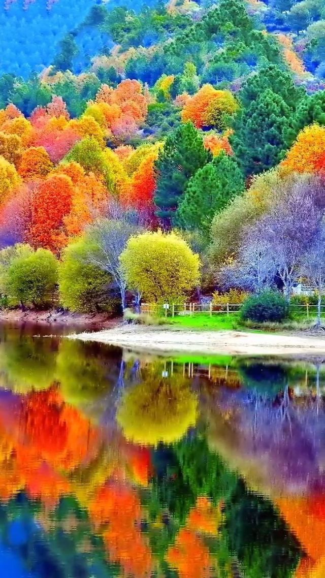 条理讲解:五颜六色景如画，十八姑娘一朵花指什么生肖