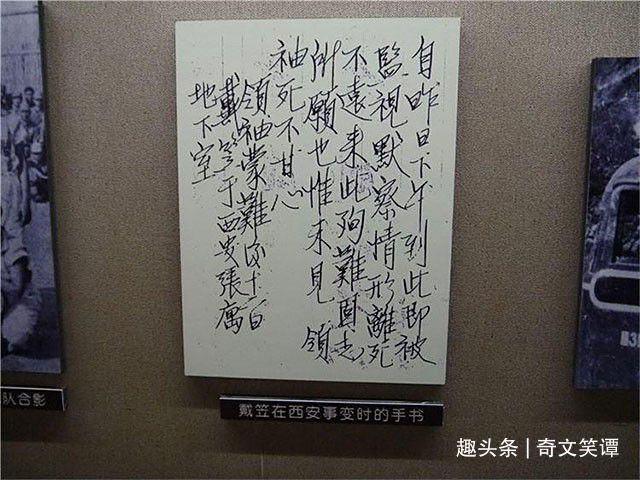 家点评（戴笠乘车）打一生肖