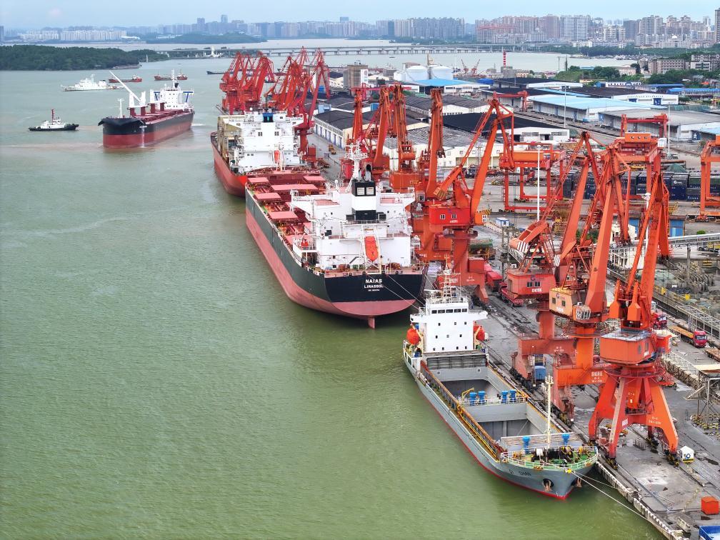 行家点评（小猴戏耍龙天宫，一南十北跑码头）巧解一最佳最佳生肖