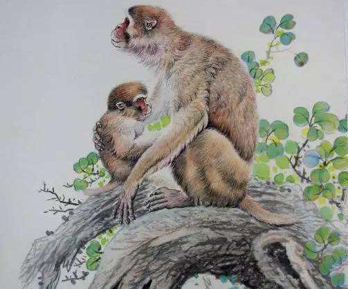 内幕披露:高卧东山代表什么动物