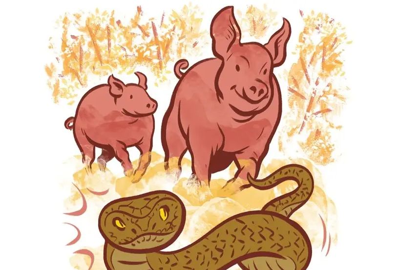 学术阐释（家有龙凤共风雨，自私亦懒猪蛇来。指啥动物