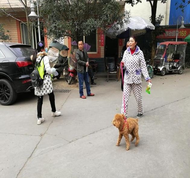 独家专访:春风化雨润绿草，犬守家园夜不息猜本期动物