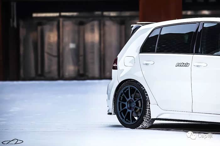 圈内解读（扮猪吃虎）代表什么动物