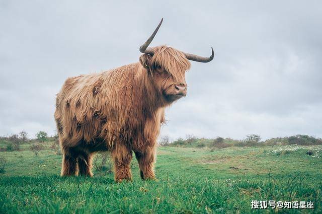 趋势研判:二二四四同跟生，四四六六南北财指什么动物