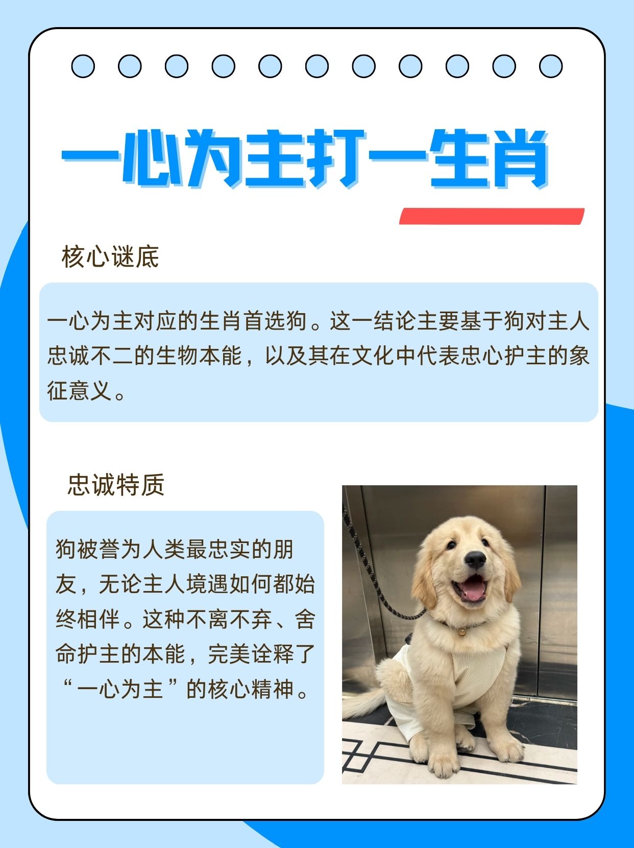 特讯:战鼓声声震碧天，忠心报主过一生巧解一最佳最佳生肖