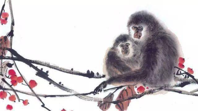 实战解析:文人墨客打一最佳动物