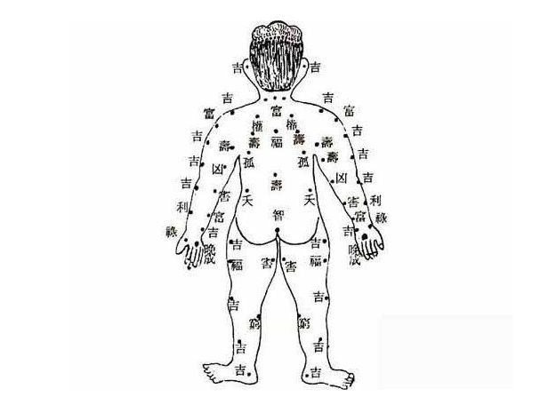 实战解析:高高在上代表什么准确生肖