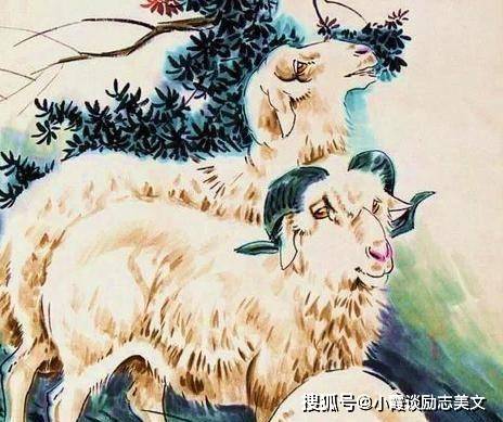 独家专访:望而生畏不敢进指打代表一最佳什么生肖