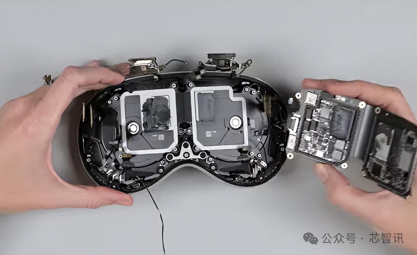 视角拆解（首鼠两端）猜一动物