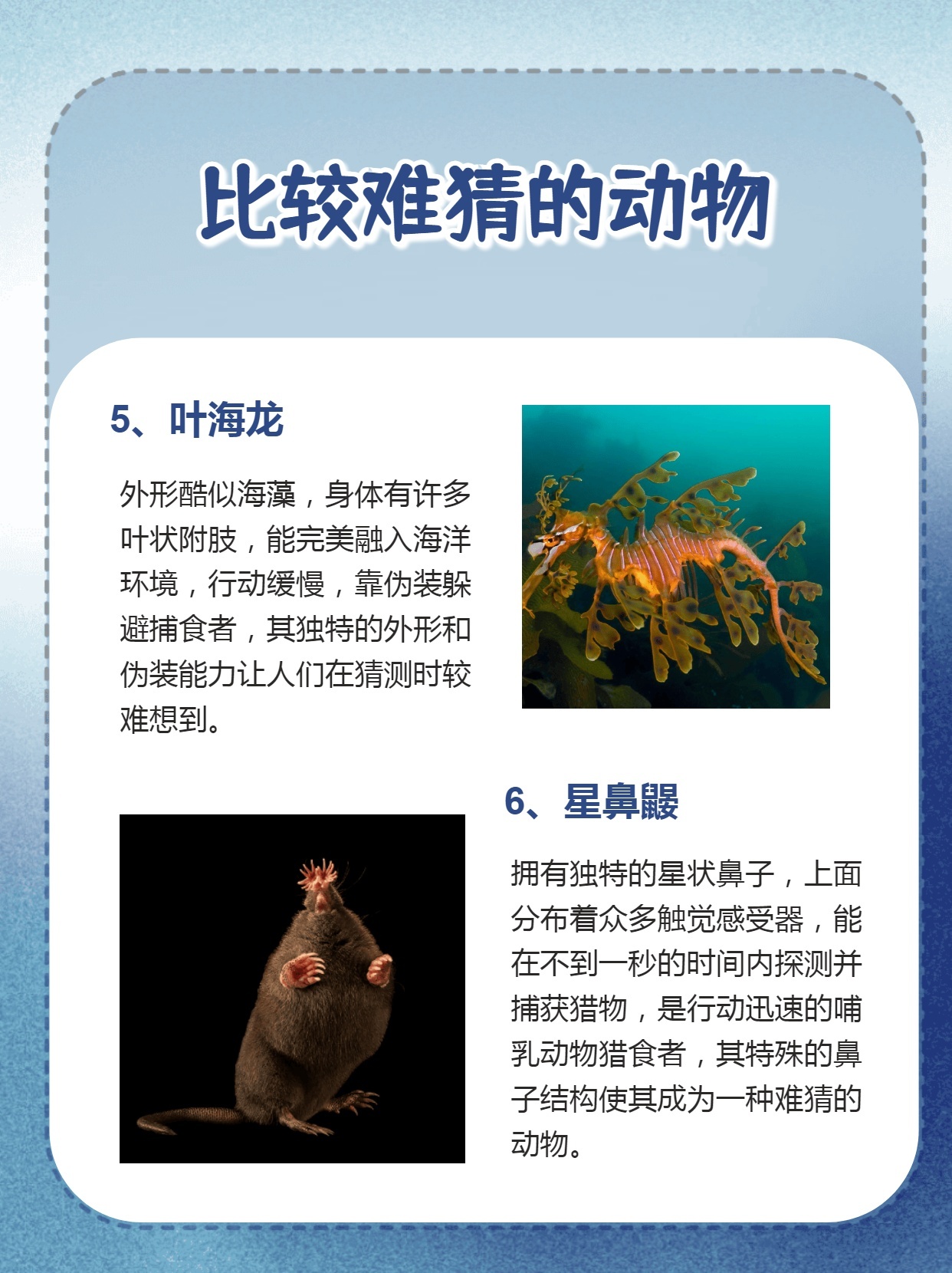 专家解析（愚公为什么不搬家？猜动物