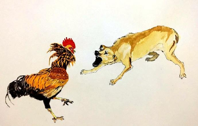 独家专访:主大僕大鷄狗升，莫怪四人隨富貴。打一准确生肖动物