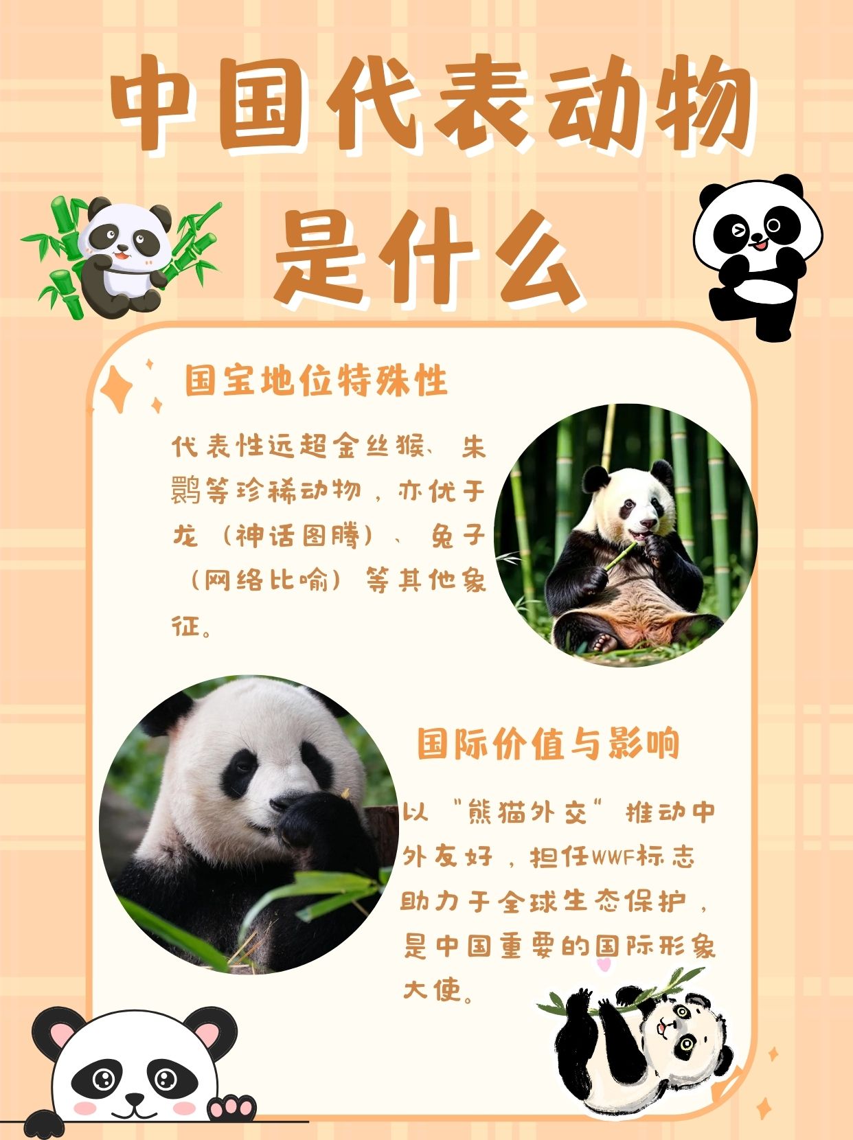 独家视点（楊门女將）代表什么动物