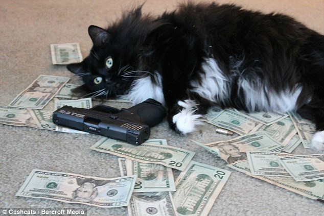 特讯:欲钱买忠厚老实的动物，欲钱看西游记第一回。打一最佳动物