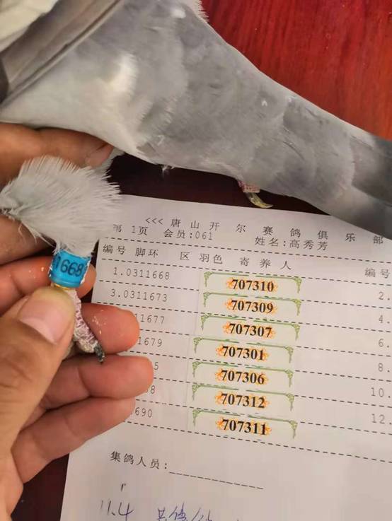 热点剖析:一二中奖定今期，逢二进三好照应比喻什么动物