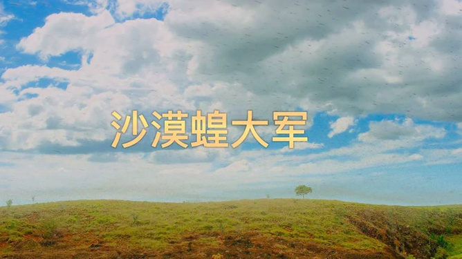 热点剖析（寸草不生）本期生肖