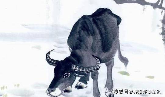 热点剖析:今期虎狗蛇出特，醒心弦里春无极代表什么生肖