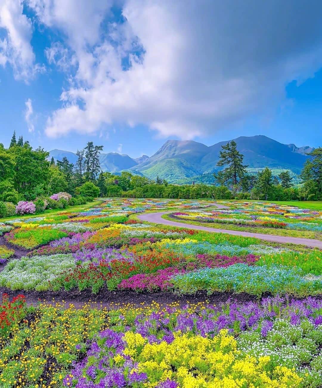 条理讲解:五颜六色景如画，十八姑娘一朵花指什么生肖