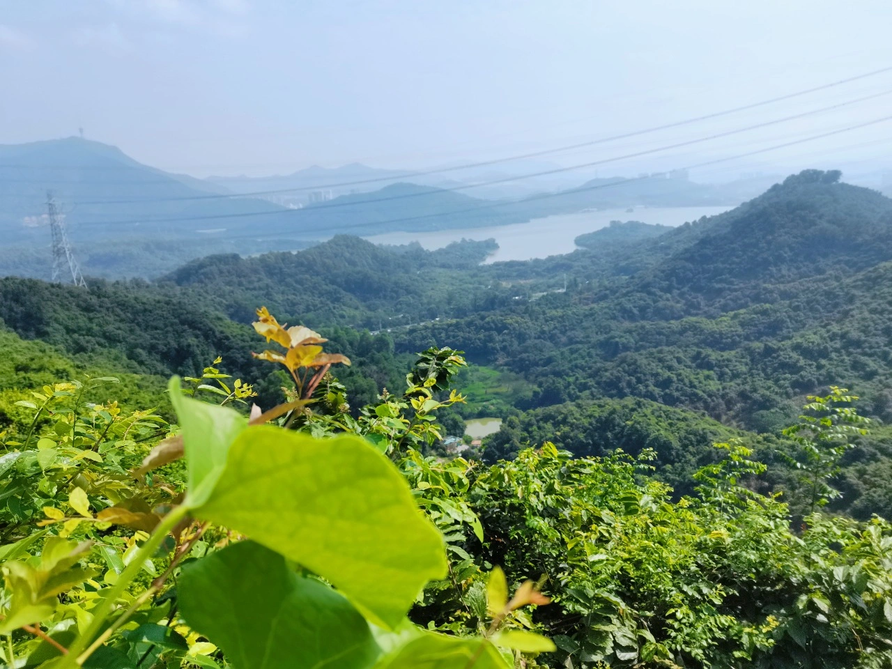 独家新闻（一山也可）正确答案动物