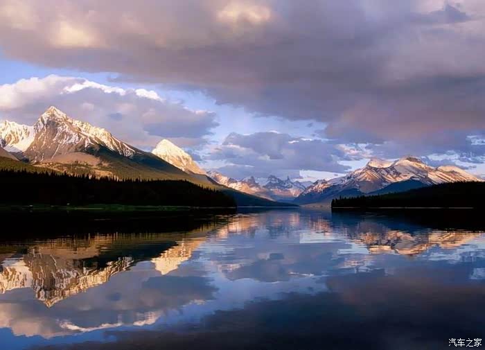 视角拆解（龙山虎山两相朝，有情才有好风光。打一最佳生肖