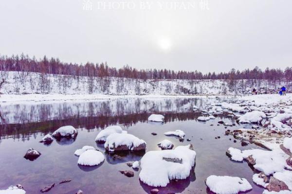 权威解读:滴水成冰本期生肖
