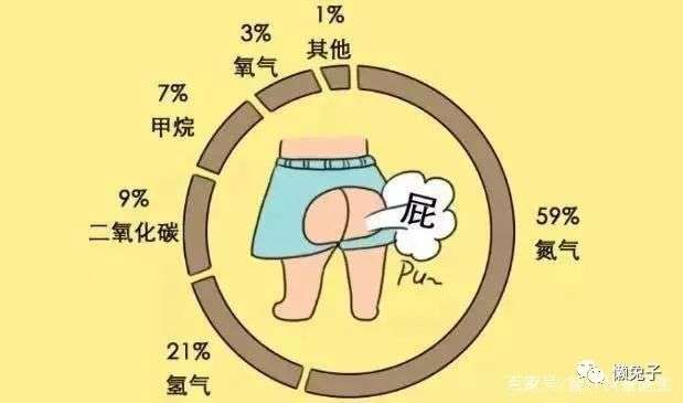 圈内解读:死前放屁又叫什么？绝响打一准确数字