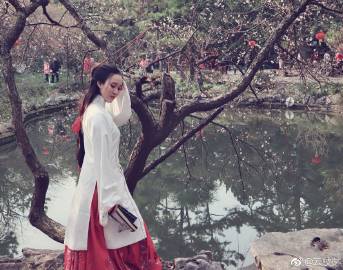 独家视点（独我煎茶续菜盘，细拂云枝栖凤惊）猜一动物