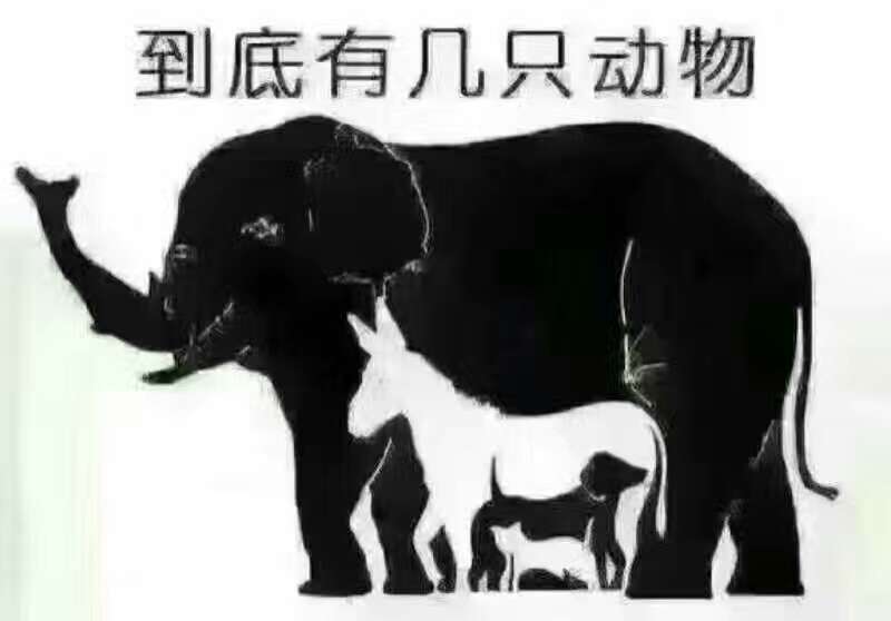 独家稿件:顾影自怜猜一动物