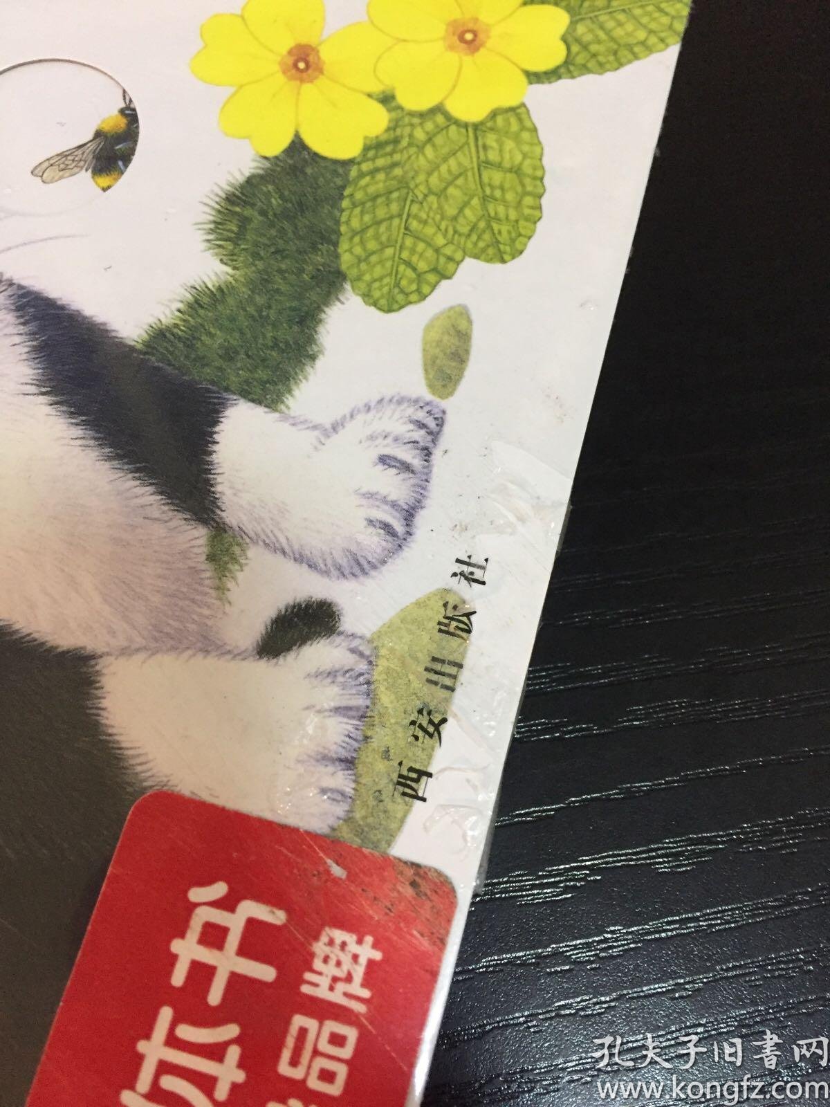 逐项解读:找朋狗友的生肖指什么动物