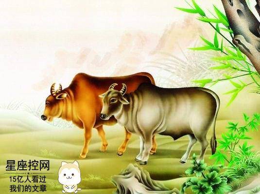 独家解读:欲钱买四海为家的动物打一最佳最佳生肖词语