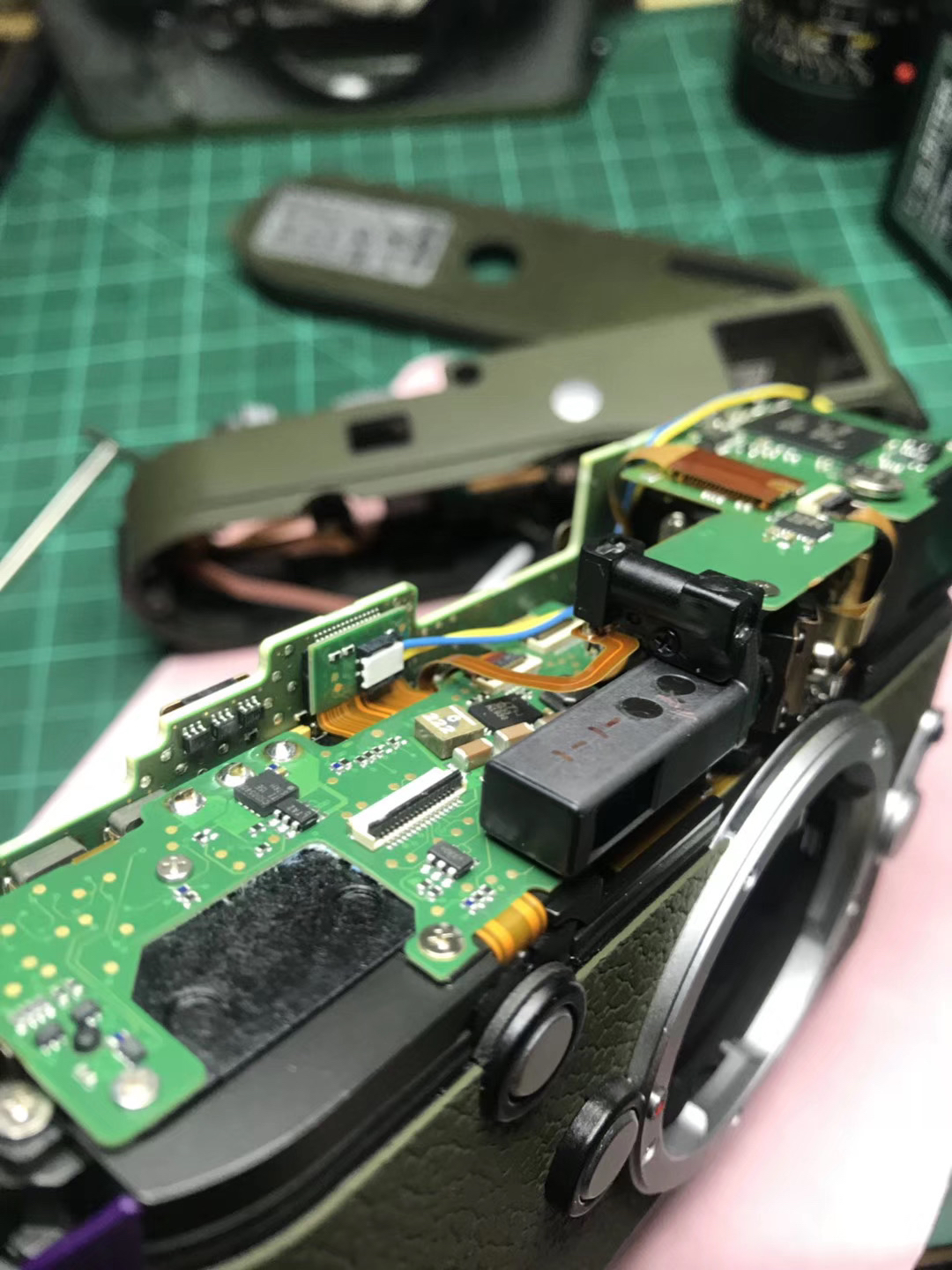 视角拆解:技巧敏捷指啥动物