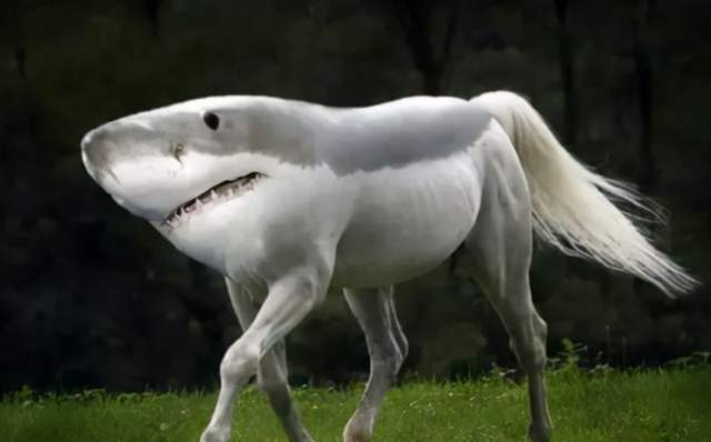 一手资讯:动如脱兔猜一准确动物