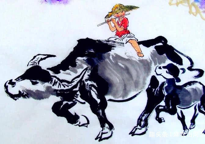 视角拆解:行善积德打一生肖